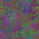 World at epoch 39000