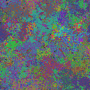World at epoch 25000
