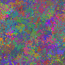 World at epoch 35000