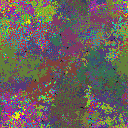 World at epoch 25000