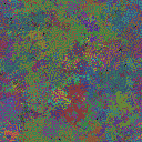 World at epoch 38000
