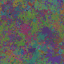 World at epoch 40000