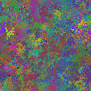World at epoch 40000