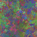 World at epoch 35000