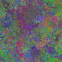 World at epoch 35000