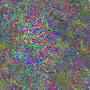 World at epoch 31000
