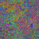 World at epoch 40000
