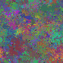World at epoch 40000