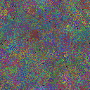 World at epoch 49000