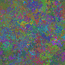 World at epoch 40000