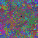 World at epoch 49000