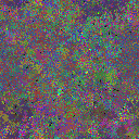 World at epoch 49000