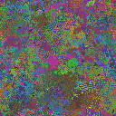 World at epoch 47000
