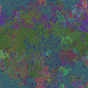 World at epoch 55000