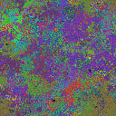 World at epoch 25000