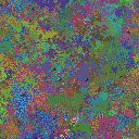 World at epoch 50000