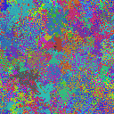 World at epoch 49000