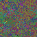 World at epoch 31000