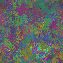 World at epoch 49000