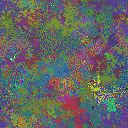 World at epoch 50000