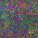 World at epoch 38000