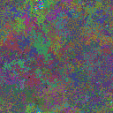 World at epoch 40000