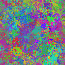 World at epoch 25000