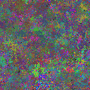 World at epoch 31000