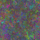World at epoch 35000