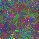 World at epoch 37000
