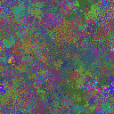 World at epoch 38000