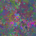 World at epoch 31000