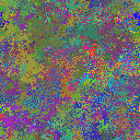 World at epoch 25000