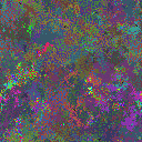 World at epoch 40000