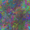 World at epoch 31000