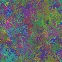 World at epoch 35000