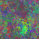 World at epoch 41000