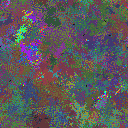 World at epoch 48000