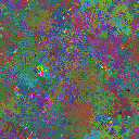 World at epoch 39000