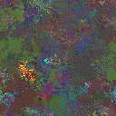 World at epoch 37000