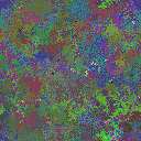 World at epoch 40000
