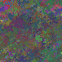 World at epoch 48000