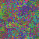 World at epoch 40000