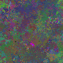 World at epoch 49000