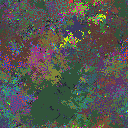 World at epoch 48000