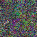World at epoch 17000