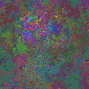 World at epoch 50000