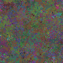 World at epoch 60000