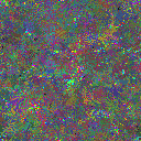 World at epoch 50000