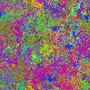 World at epoch 19000